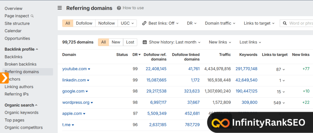 Ahrefs Site Explorer